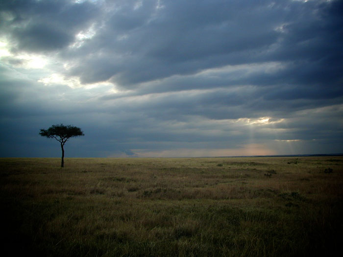 Kenya - Photo by Terhorstj