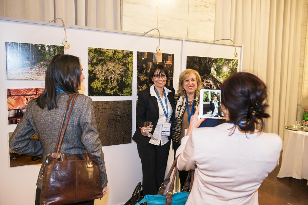 Assembly of Parties 2015 - Photography Exhibition